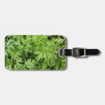 Carrot Tops Custom Luggage Tag