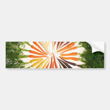 Carrots Bumper Sticker