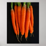 Carrots Fresh from the Garden Print