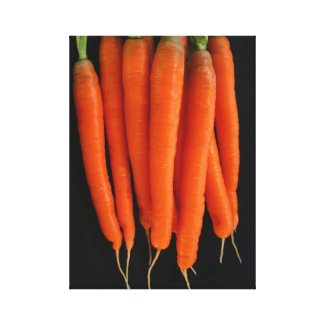 Carrots from our garden wrappedcanvas