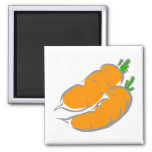 Carrots magnets