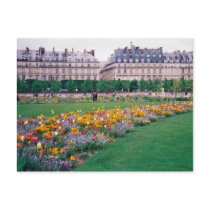 Carrousel Gardens Postcard by rukeman Carrousel Gardens Postcard