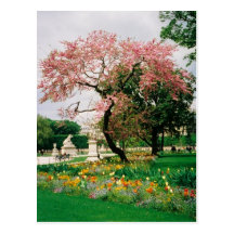 Carrousel Gardens Postcard