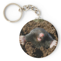 Carry-key Mole Key Chain