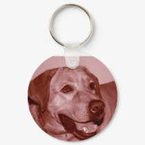 Carry Me Wherever You Go!!! keychains