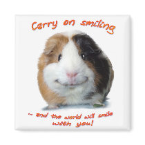 Carry on Smiling! magnets