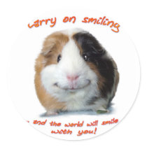 Carry on Smiling! Round Stickers