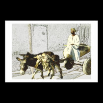 Cart driver, Egypt posters