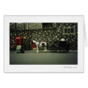 Cart Horse cards by Shokara Cart Horse cards