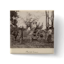 Cart pulled by two oxen at Mandalay, Burma Pins