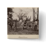 Cart pulled by two oxen at Mandalay, Burma Pins