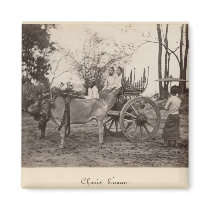 Cart pulled by two oxen at Mandalay, Burma Fridge Magnet