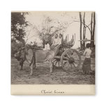 Cart pulled by two oxen at Mandalay, Burma magnets