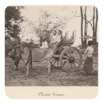 Cart pulled by two oxen at Mandalay, Burma Stickers