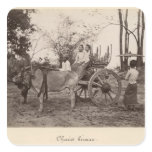 Cart pulled by two oxen at Mandalay, Burma Stickers