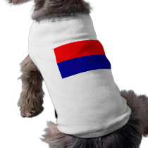 Cartago, Costa Rica, Costa Rica pet clothing by bestflag Cartago, Costa Rica, Costa Rica pet clothing