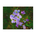 Carte Postale Florale