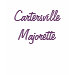 Ladies Petite T-Shirt