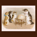 Cartographer Cat and Three Kittens postcards