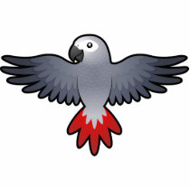 Cartoon African Grey / Amazon / Parrot Photo Sculptures