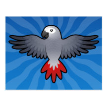 Cartoon African Grey / Amazon / Parrot Post Card