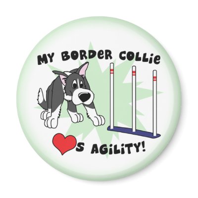 Cartoon Agility Border Collie Magnet