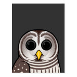 Cartoon Barred Owl Post Card