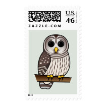 Cartoon Barred Owl Stamp