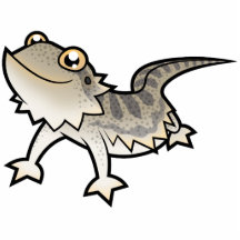 Animated Bearded Dragon