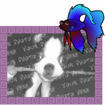 Cartoon Betta Fish / Siamese Fighting Fish Photo Sculpture