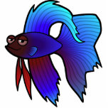 Cartoon Betta Fish / Siamese Fighting Fish Photo Cutout