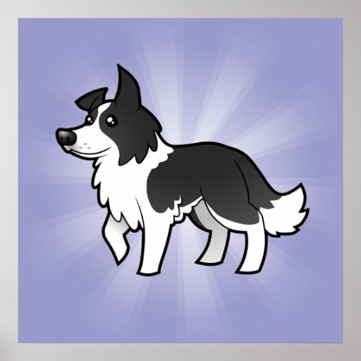 Cartoon Border Collie Poster | Zazzle