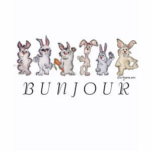 Cartoon Bunny Rabbits Bunjour T-shirt shirt