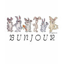 Cartoon Bunny Rabbits Bunjour T-shirt by zooogle Cartoon Bunny Rabbits Bunjour T-shirt
