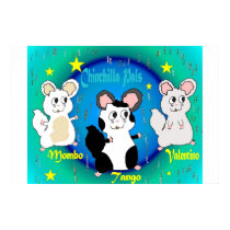 Cartoon Chinchilla Pals posters