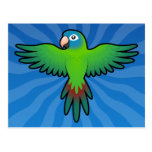 Cartoon Conure / Lorikeet / Parrot Postcards
