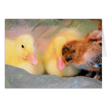 Cartoon ducks and chick cards