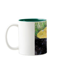 Cartoon Effect-Mushroom Mug