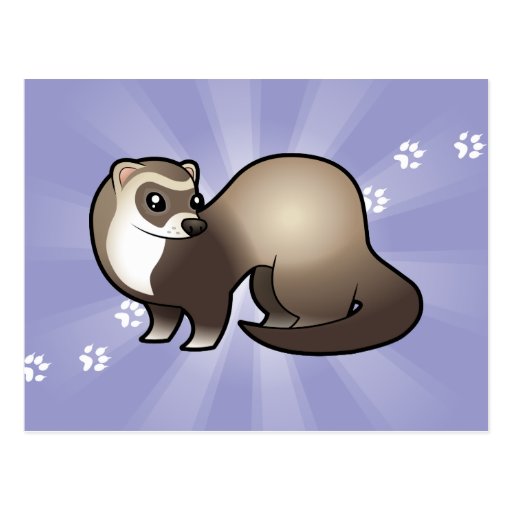 Cartoon Ferret Post Cards | Zazzle