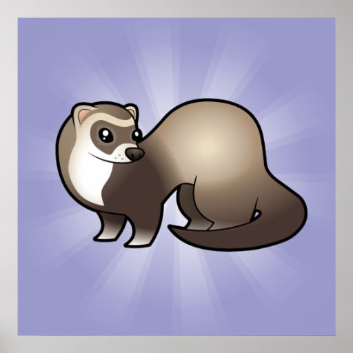 Cartoon Ferret Posters | Zazzle