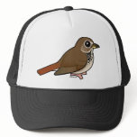 Cartoon Hermit Thrush hats