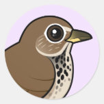 Birdorable Hermit Thrush Round Sticker