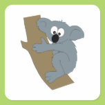 Cartoon Koala Square Stickers