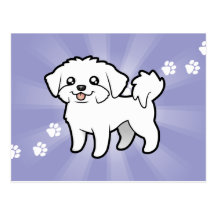 Cartoon Maltese (puppy cut) Postcards