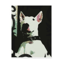 cartoon merra postcards
