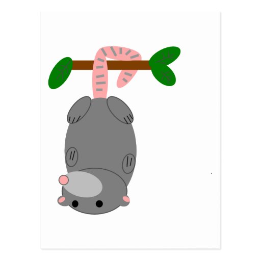 Cartoon Opossum/Possum Hanging Upside Down by Tail Postcard Zazzle