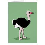 Cartoon Ostrich