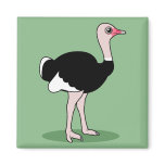 Cartoon Ostrich