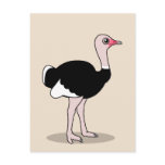 Cartoon Ostrich