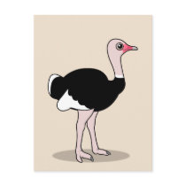 Cartoon Ostrich postcards